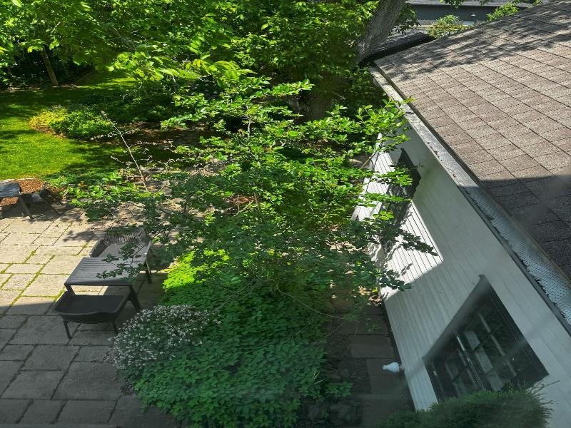 Woodbourne Inn image