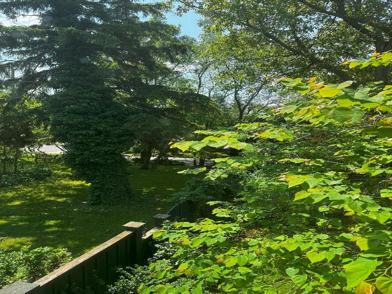 Woodbourne Inn image