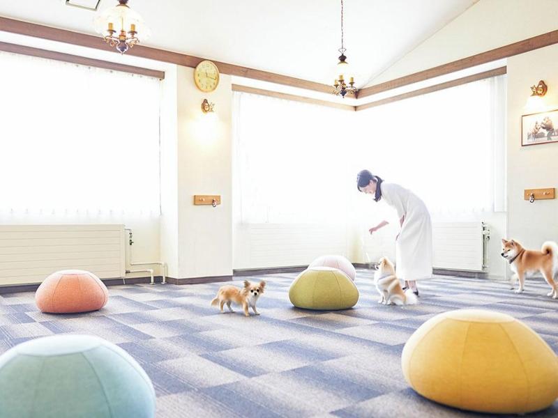Livemax Resort Nasukogen image