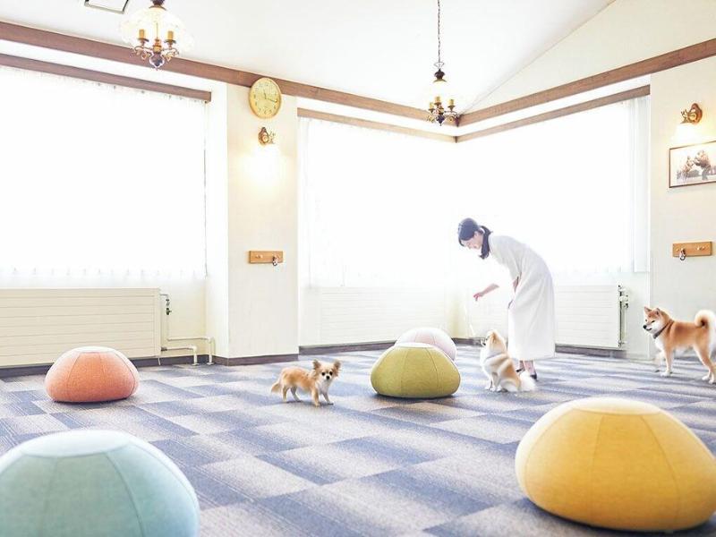 Livemax Resort Nasukogen image