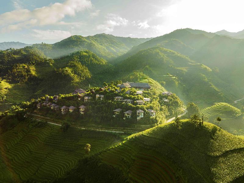 Garrya Mu Cang Chai — general view