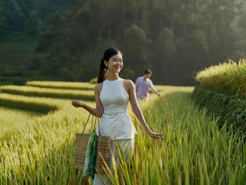 Garrya Mu Cang Chai