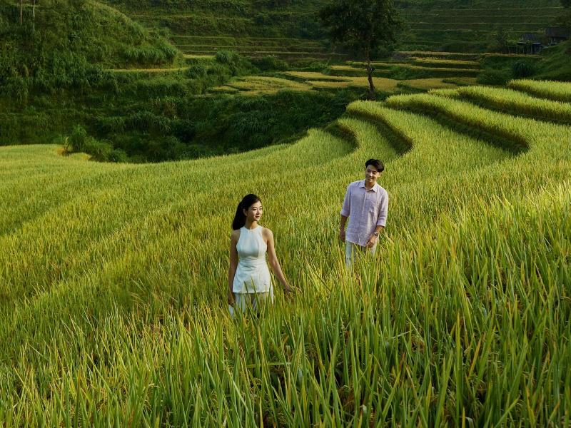 Garrya Mu Cang Chai