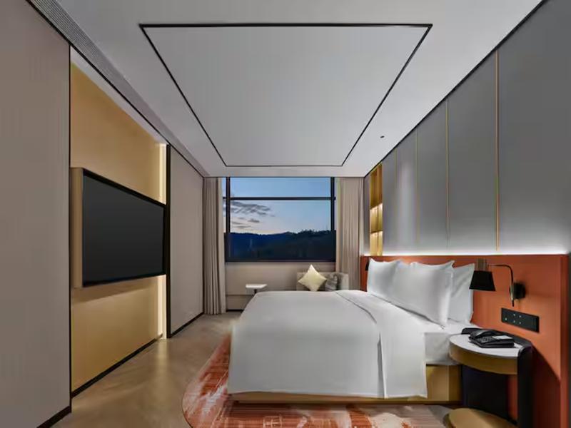 King Deluxe Suite