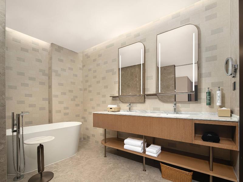Hilton Garden Inn Urumqi Railway Station image