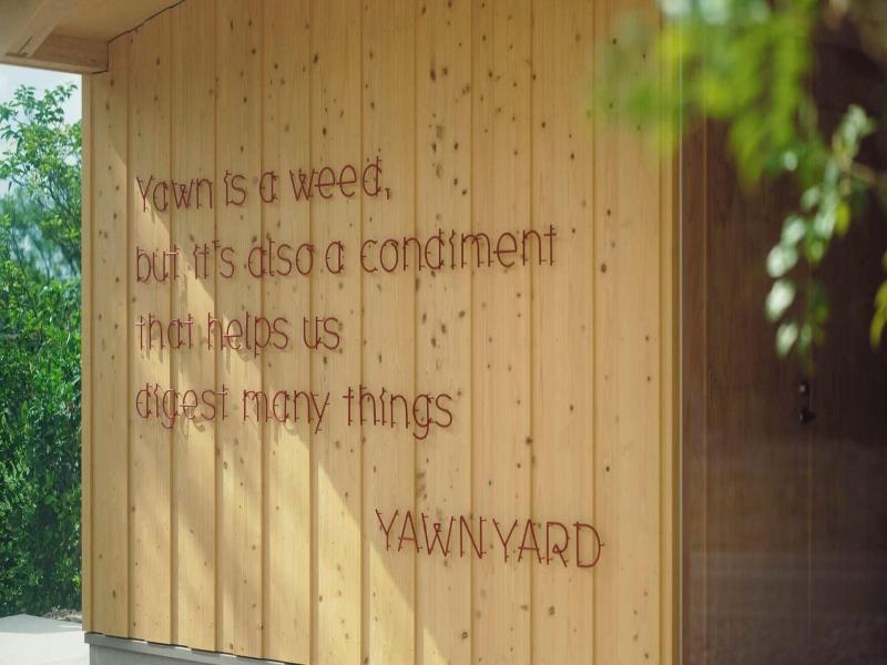 Yawn Yard Kouri Island image