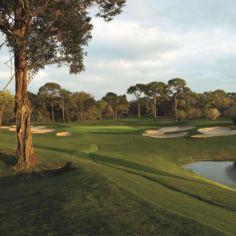 Innisbrook Resort & Golf Club