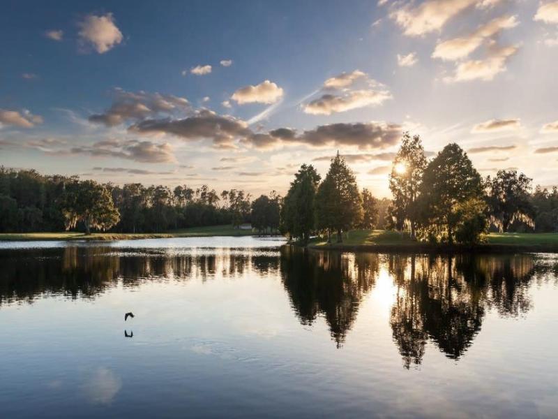 Innisbrook Resort image