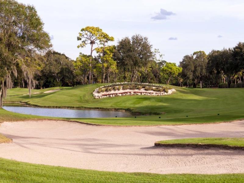 Innisbrook Resort image