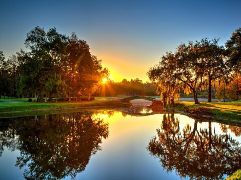 Innisbrook Resort image