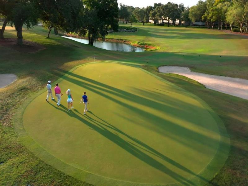 Innisbrook Resort image