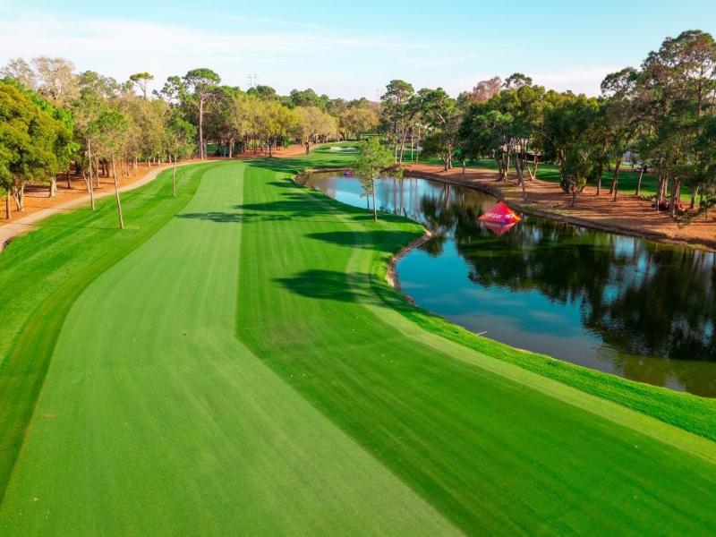 Innisbrook Resort image