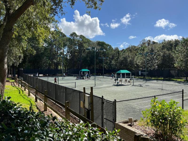 Innisbrook Resort image