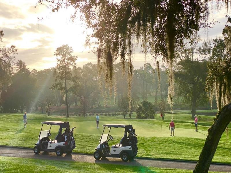 Innisbrook Resort image
