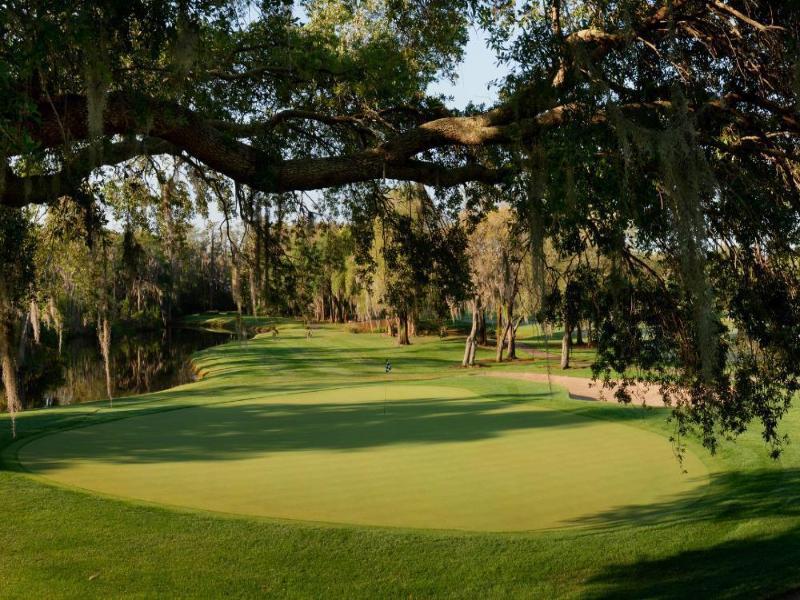 Innisbrook Resort image