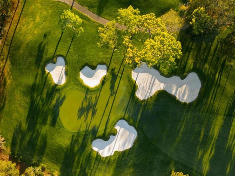 Innisbrook Resort image