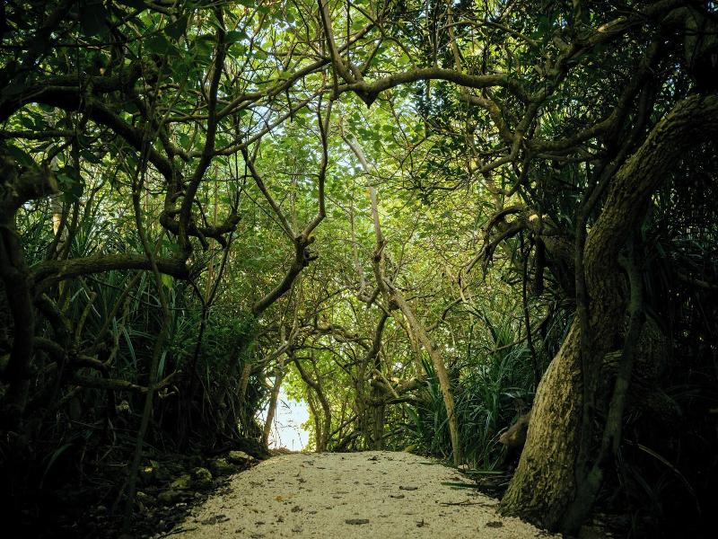 Nest Hotel Ishigaki Maesato Beach