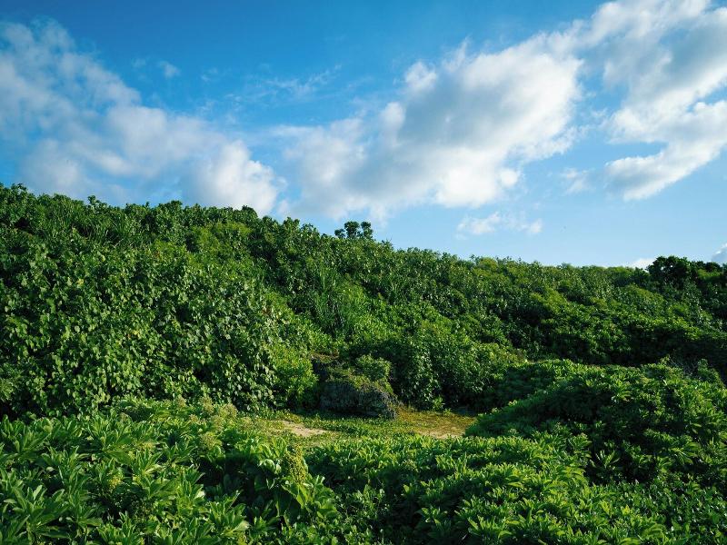 Nest Hotel Ishigaki Maesato Beach