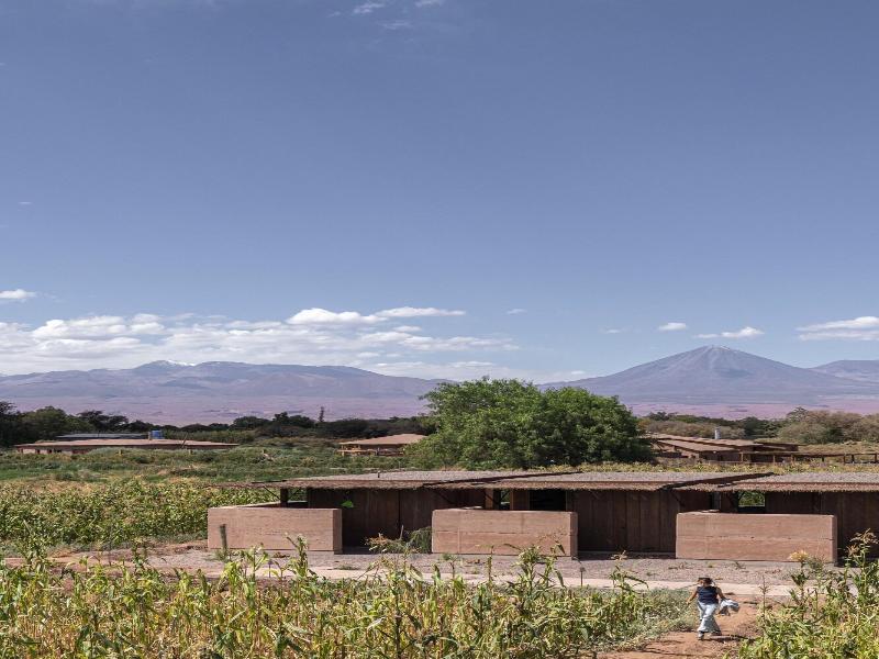 Fauna Atacama image