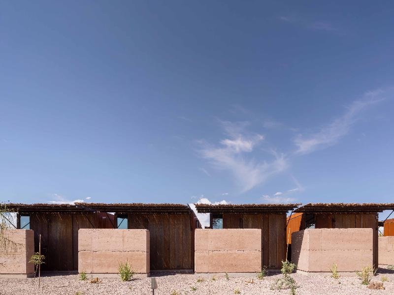 Fauna Atacama image