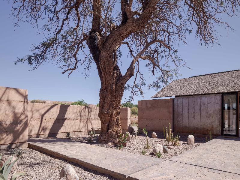 Fauna Atacama image