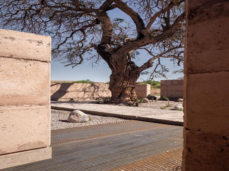 Fauna Atacama image