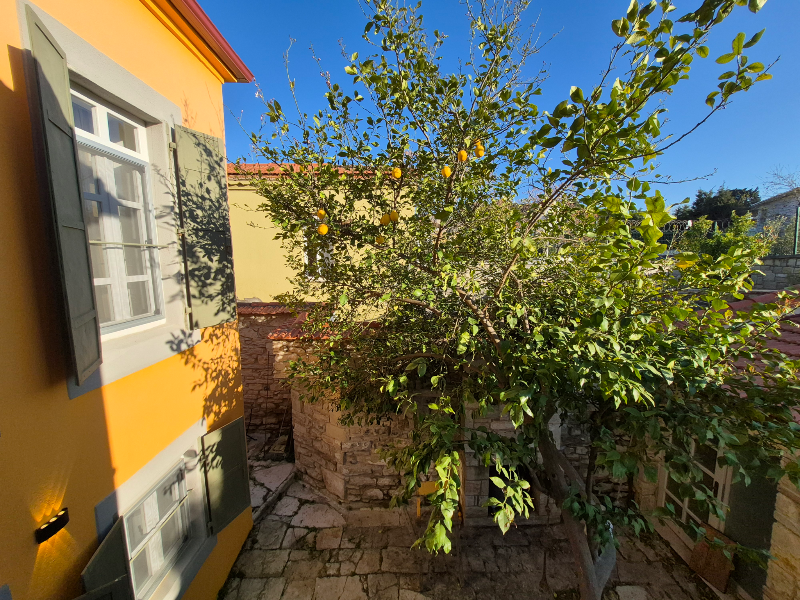 Kavcıoğlu Rooms image