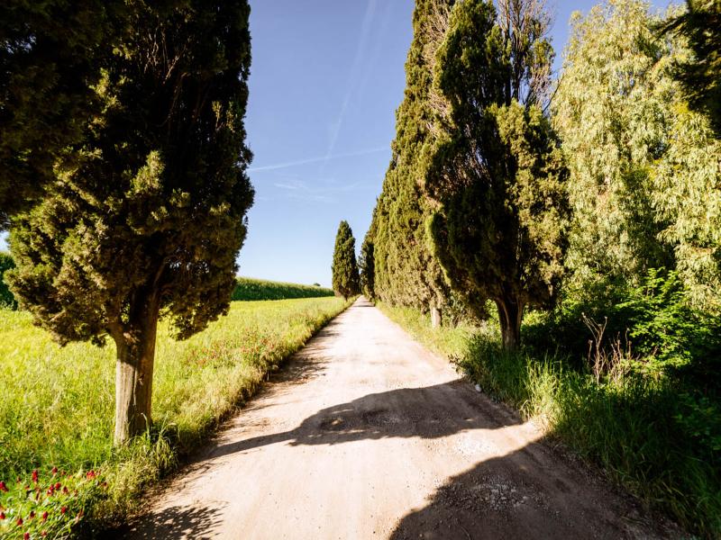 Hotiday Grosseto Podere image