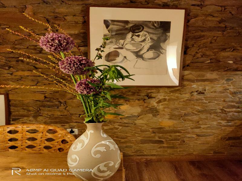 Castro da Cola Country Houses image