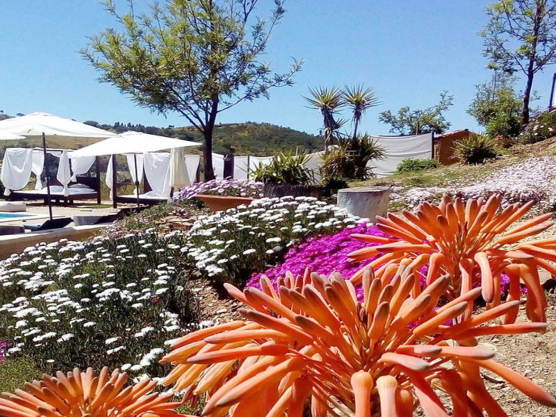 Castro da Cola Country Houses image
