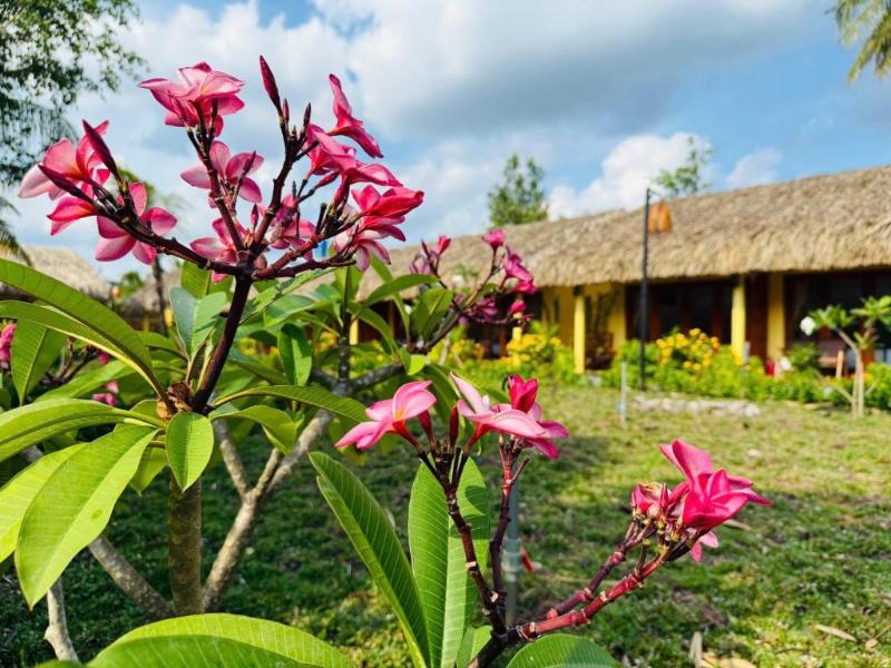 Mango Home Riverside - Eco Resort — exterior view