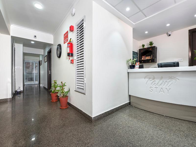 Palm Stay - Studios & Rooms image
