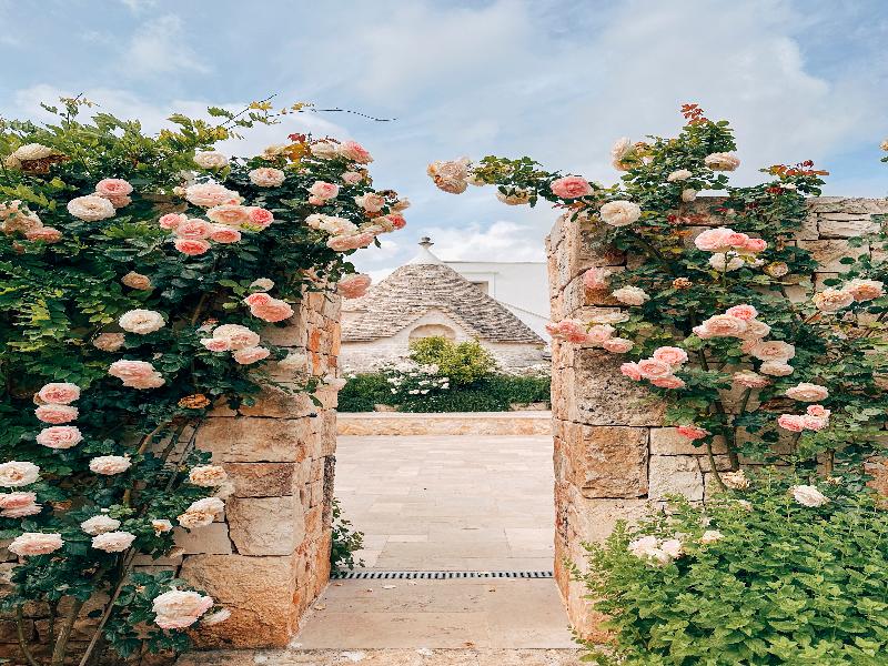 Leonardo Trulli Resort image