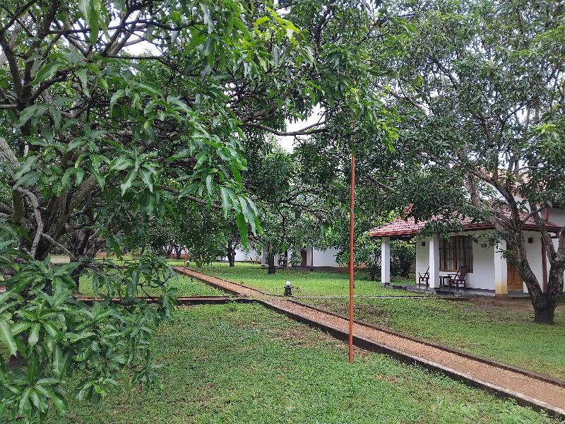 Dambulla Hills Resort image