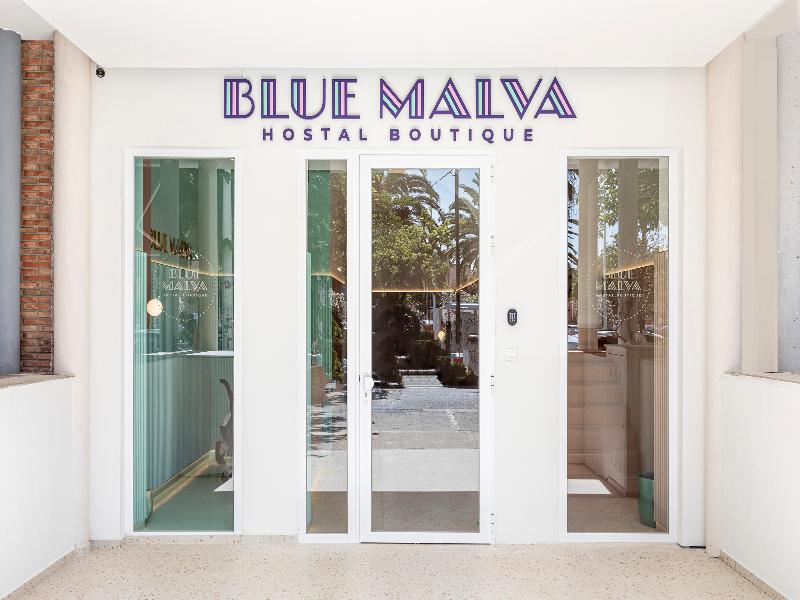 Blue Malva image