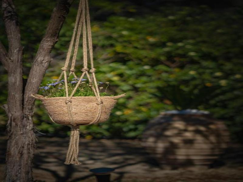 Eora Studios image