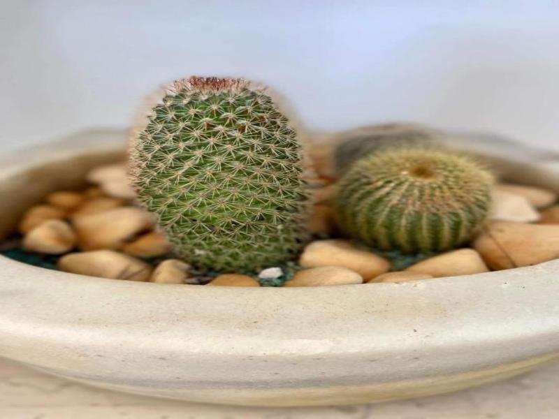 Eora Studios image