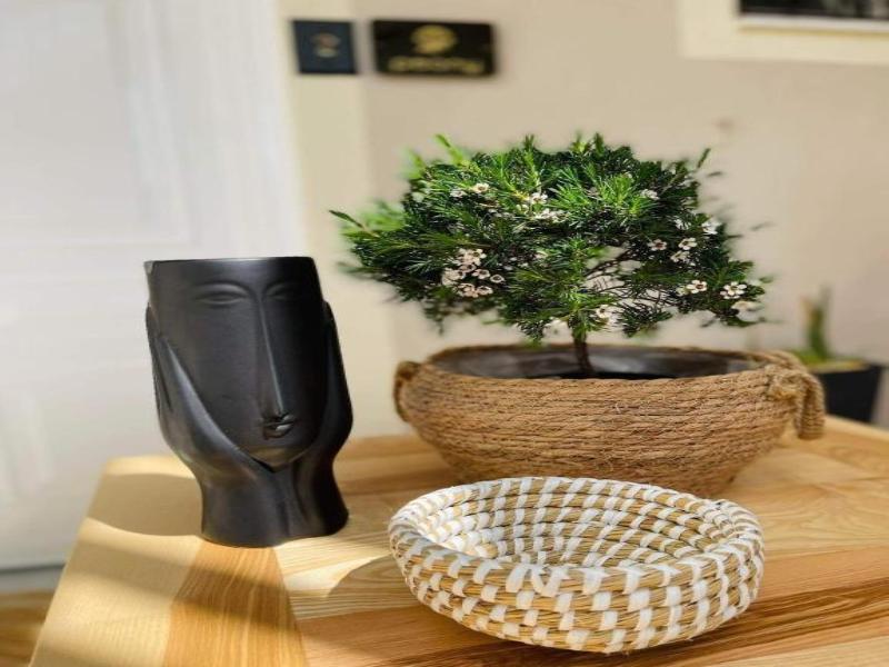 Eora Studios image
