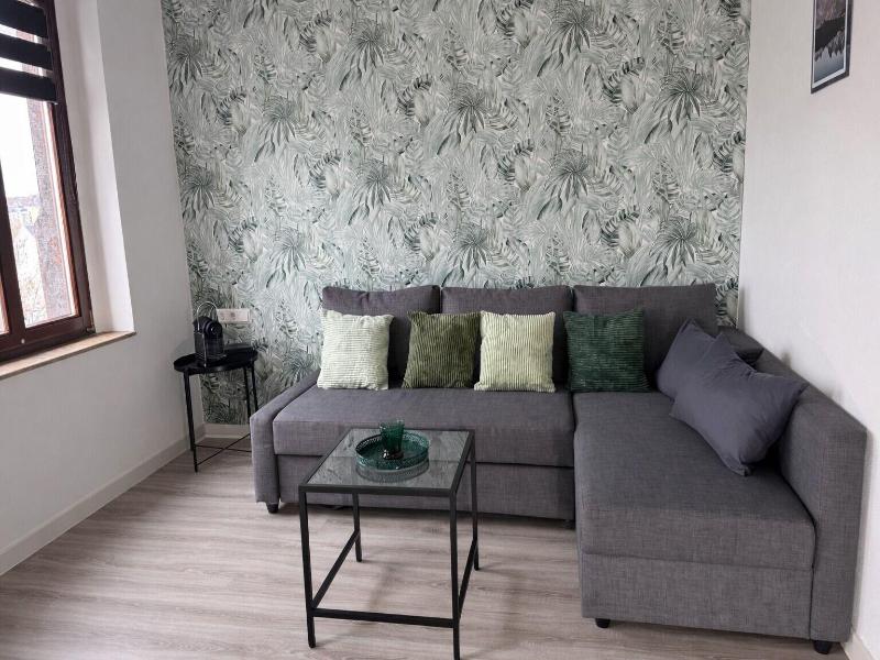 Miilox Apartments Chemnitz image