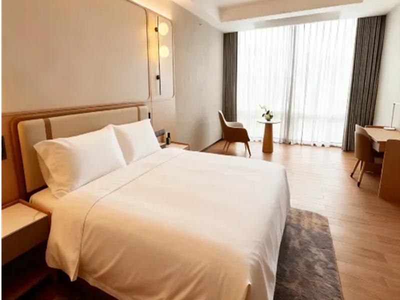Shanghai Also Hotel image