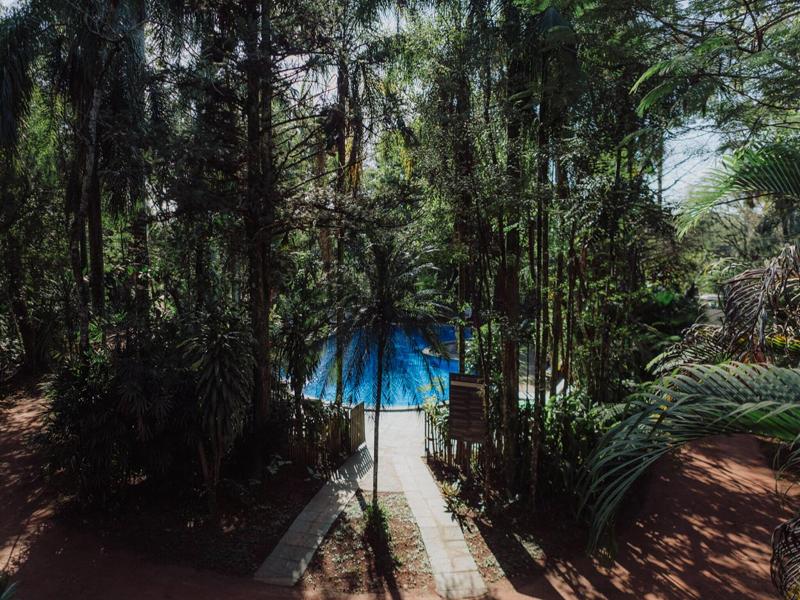 Overo Lodge & Selva image