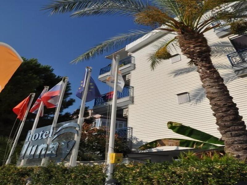 Hotel Lunay image