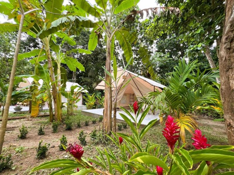 Glamping Kunna Tayrona image