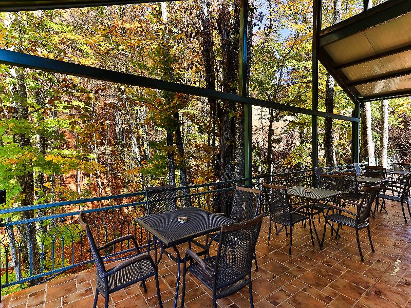 Eco Resort Elite image