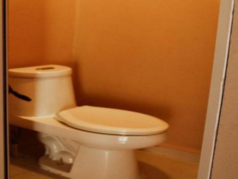 Oyo Hotel Oasis image