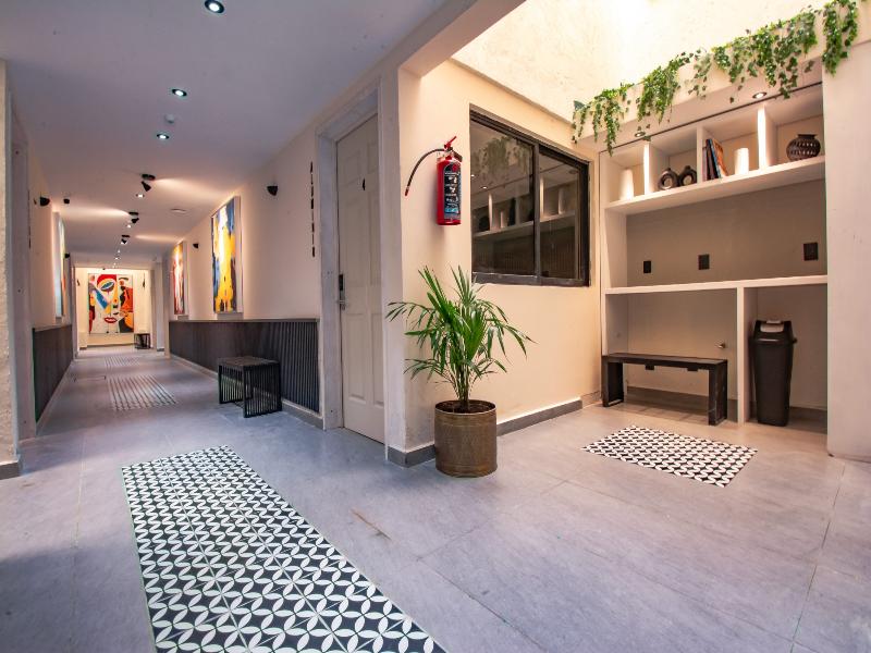 Collection O Hotel Concreta 199 Mexico City image