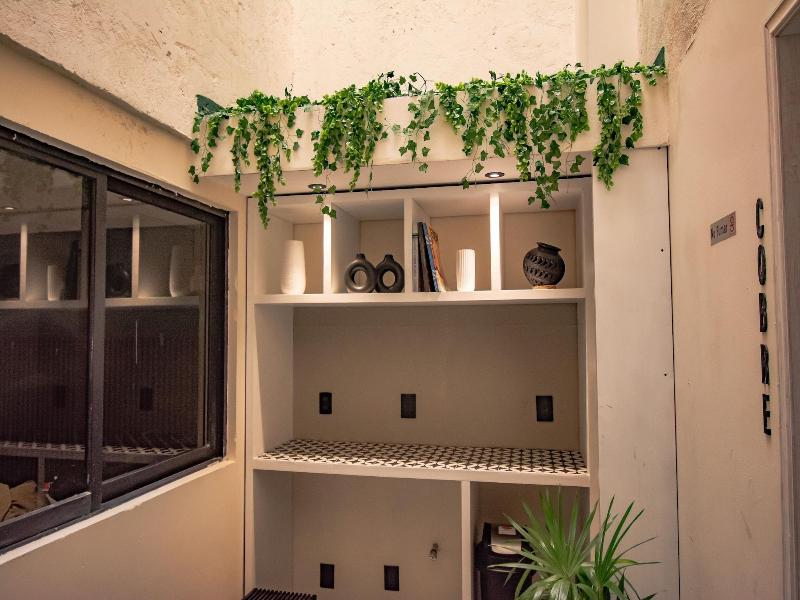 Collection O Hotel Concreta 199 Mexico City image