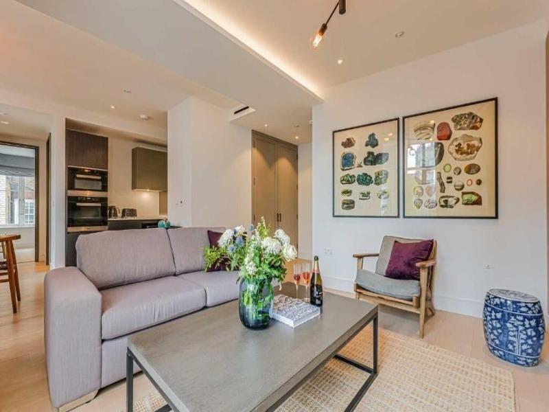 Westminster Apartments By D'montrio image