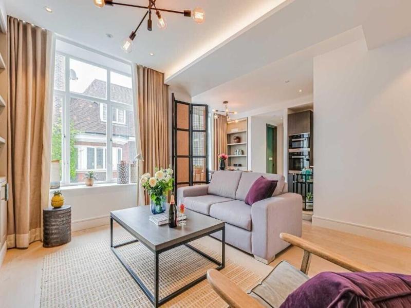 Westminster Apartments By D'montrio image