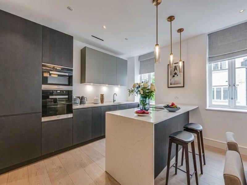 Westminster Apartments By D'montrio image